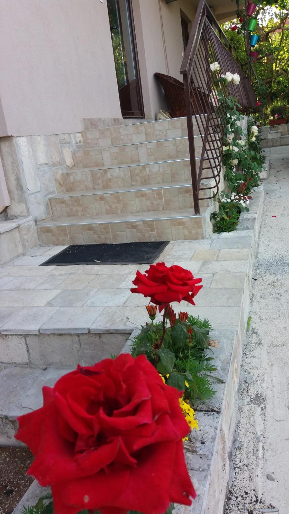 Apartments Iva Tivat Bagian luar foto