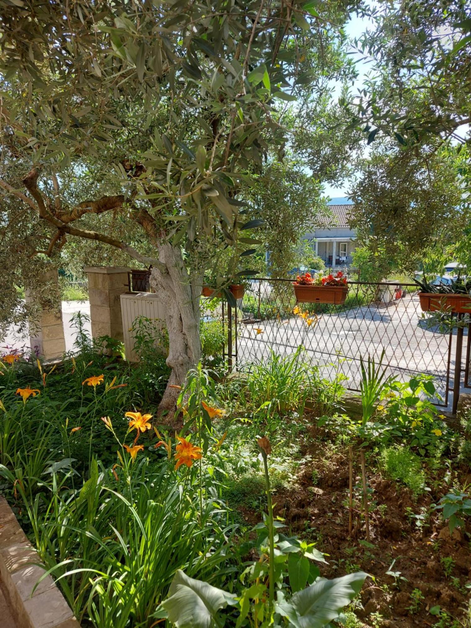 Apartments Iva Tivat Bagian luar foto