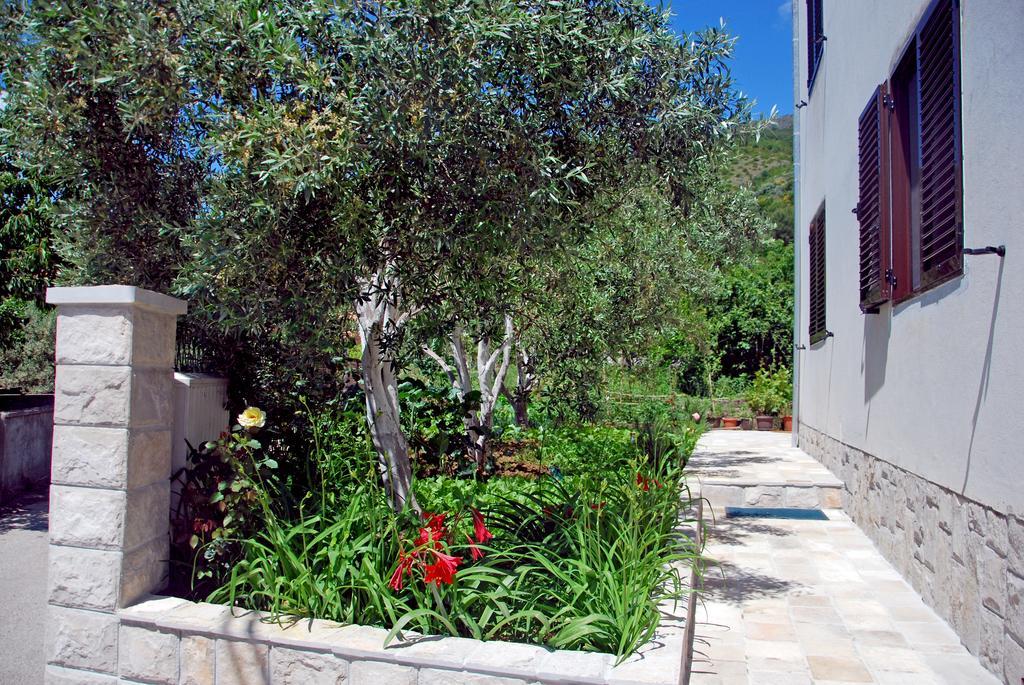 Apartments Iva Tivat Ruang foto