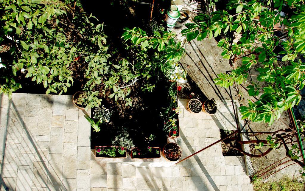 Apartments Iva Tivat Bagian luar foto