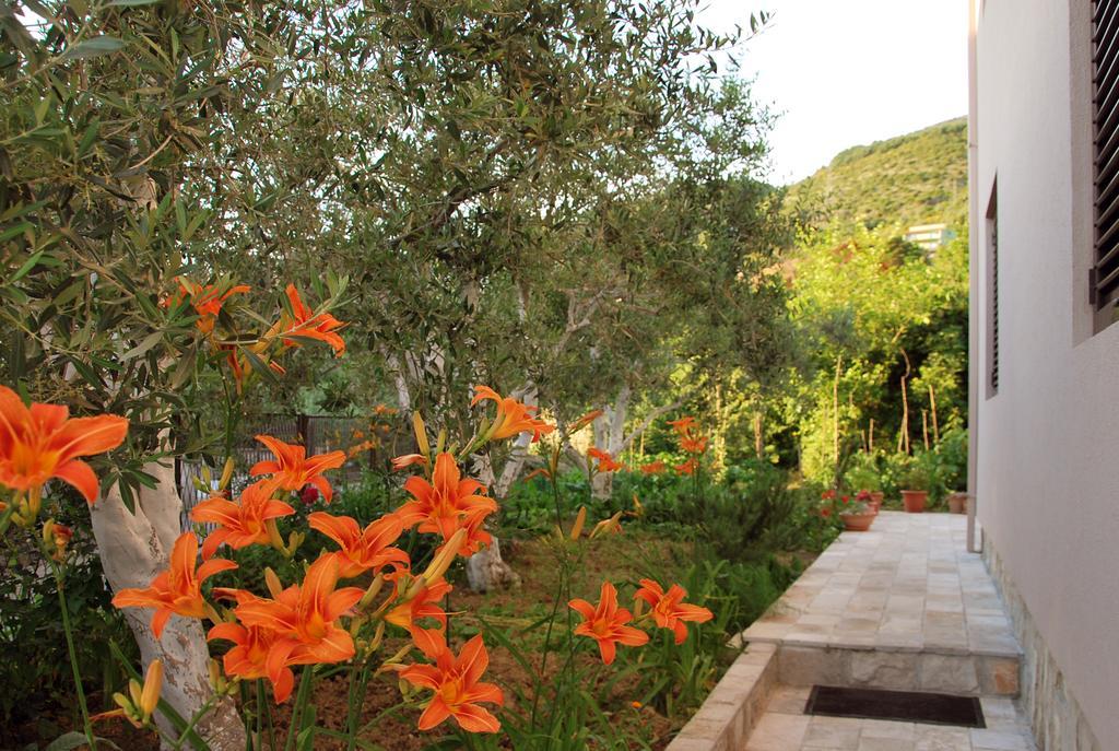 Apartments Iva Tivat Bagian luar foto